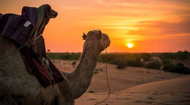 Circuito por Senegal con Excursiones y Visitas Circuito por Senegal con Excursiones y Visitas