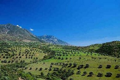 Coche sin carnet tenerife usado