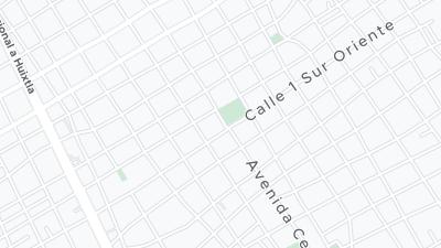 Avenida Central Dr. Belisario Dominguez Sur 21