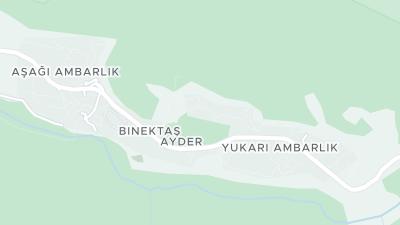 Visa hotellet på en karta