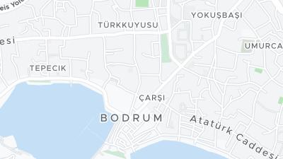 خريطة موقع الفندق