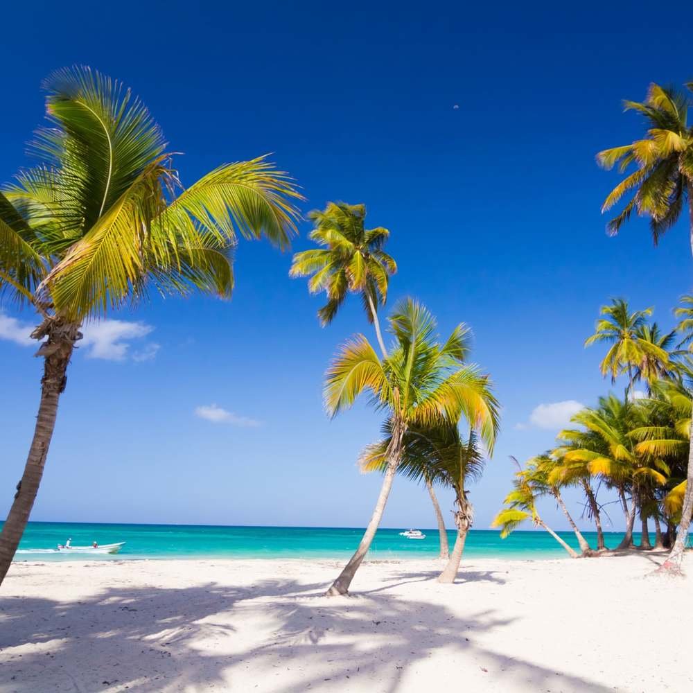 Central America - Caribbean