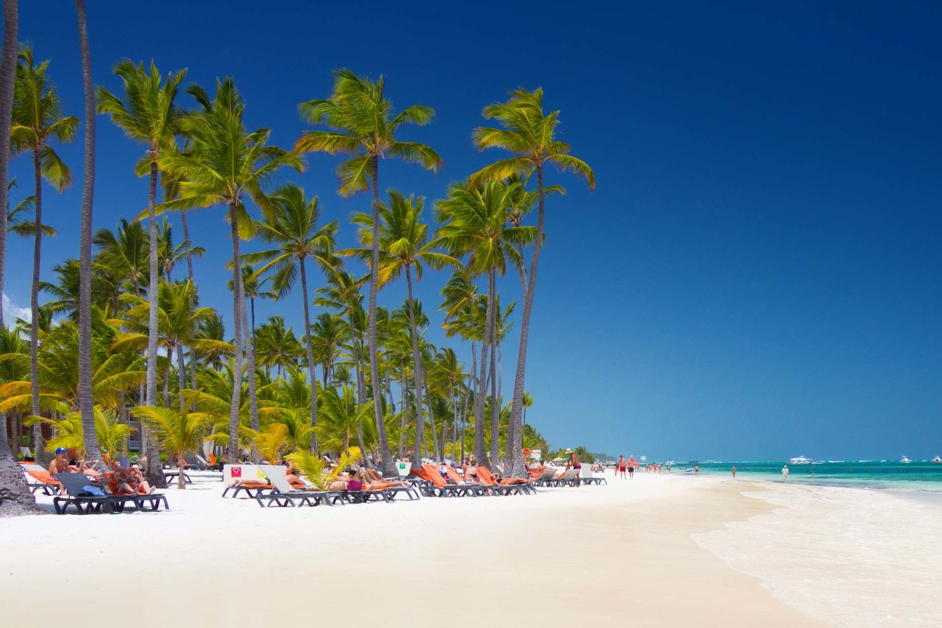 Hotels in Bavaro