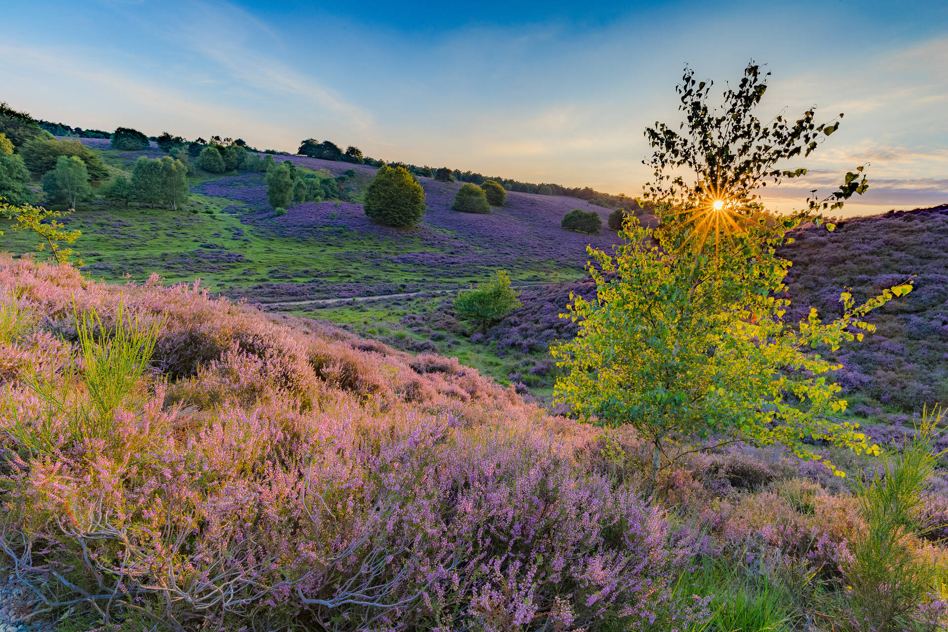 Hotels in Gelderland