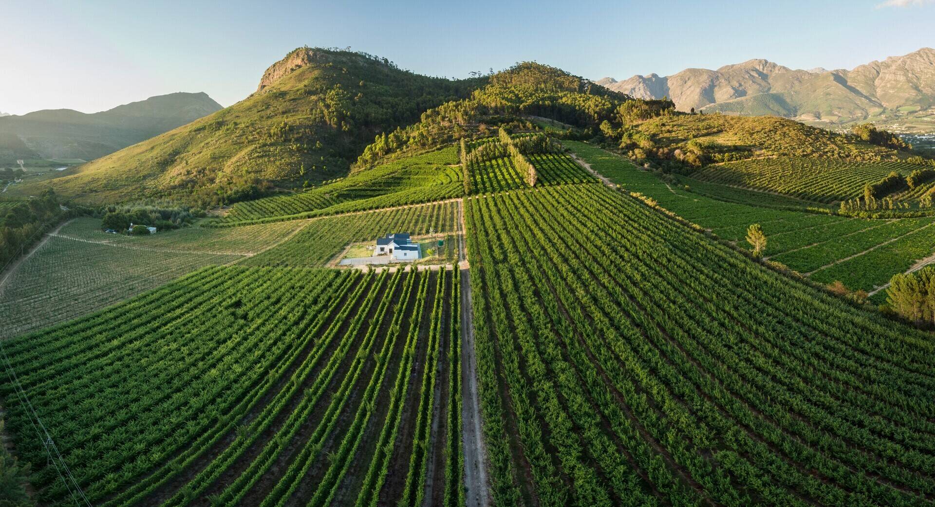 Hotels in Franschhoek