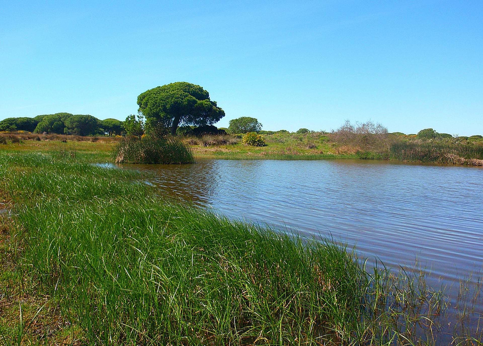 Hotels in El Rompido