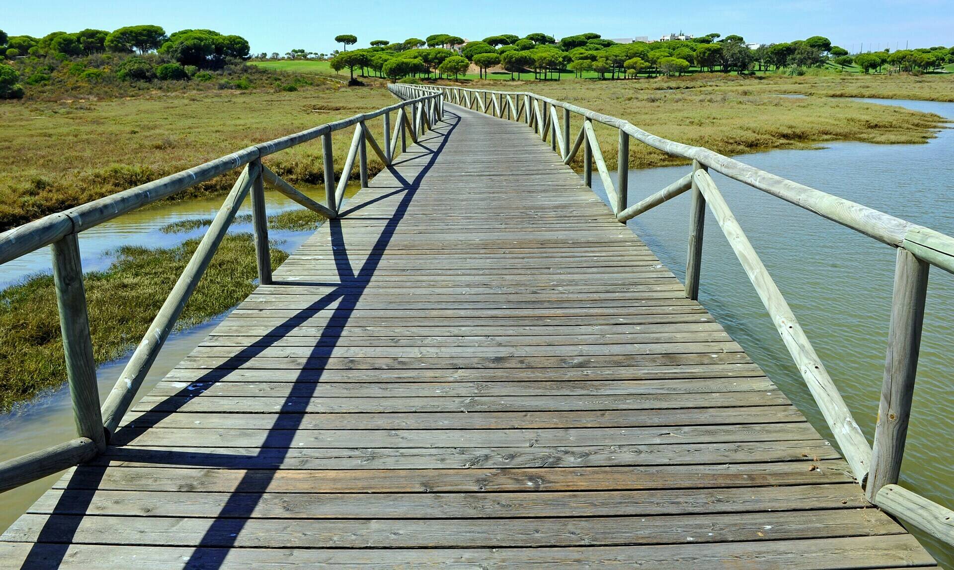 Hotels in El Rompido