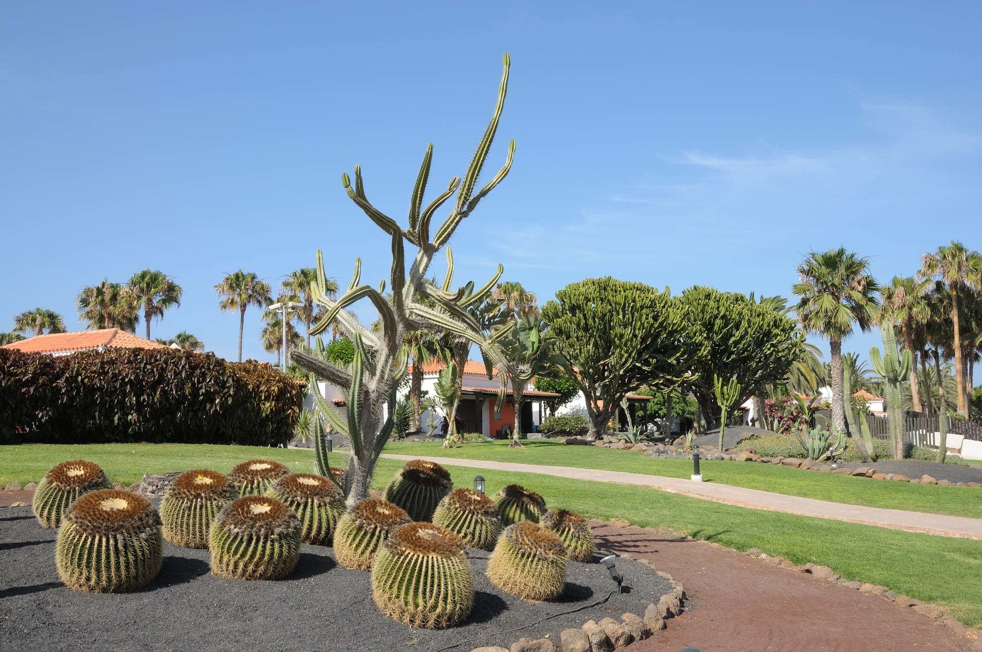 Hotels in Caleta de Fuste