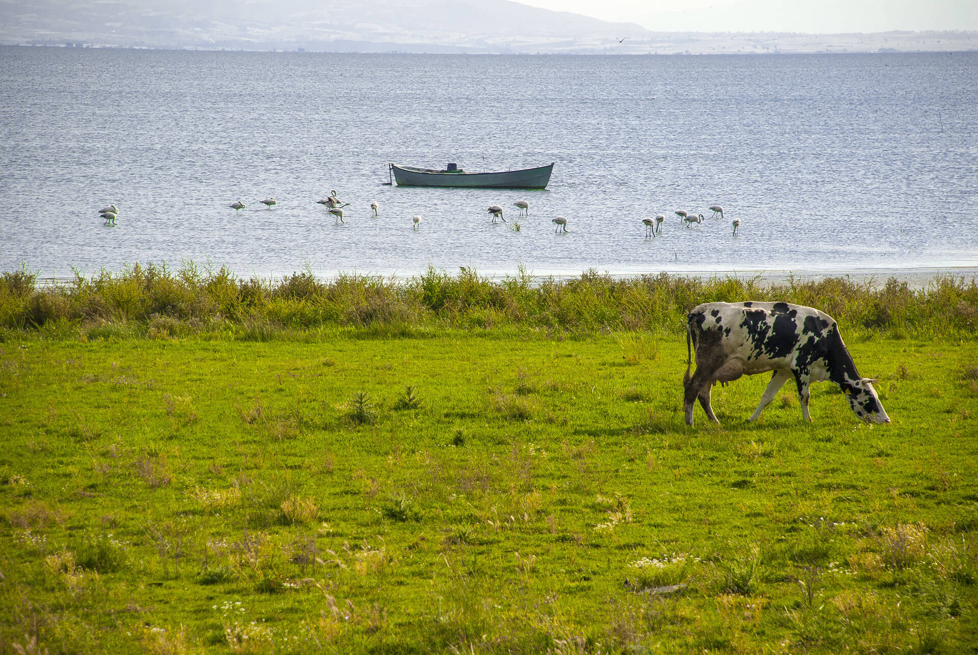 Küçükçekmece Holidays