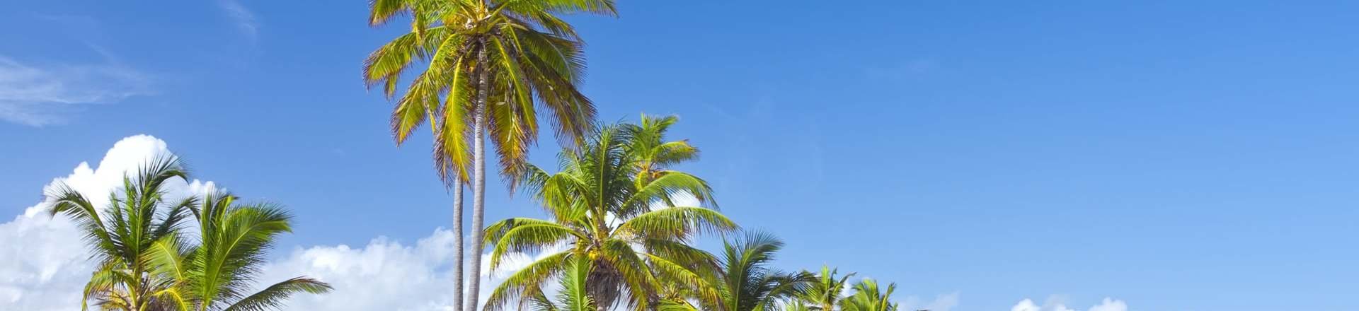 Punta Cana en Todo Incluido desde Lisboa Punta Cana en Todo Incluido desde Lisboa