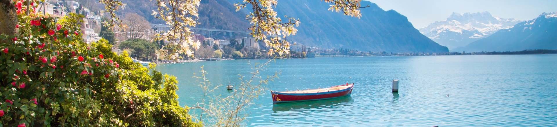 Suiza al Completo Suiza al Completo
