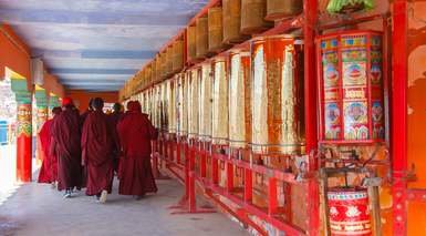 Paro