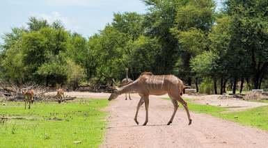 Gaborone