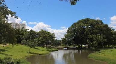 Goiania