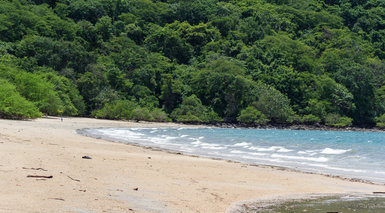 Tamarindo