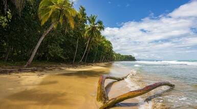 ¡Oferta! Costa Rica Esencial con Puerto Viejo y playas de Guanacaste - Regalo Excursión