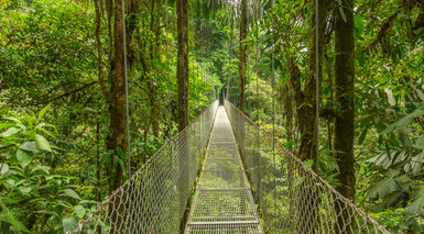 Monteverde