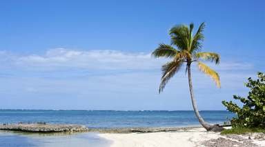 Dreams Palm Beach Punta Cana - Punta Cana