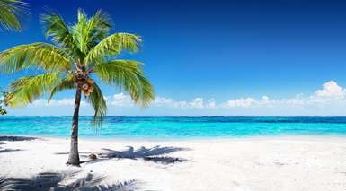 Punta Cana