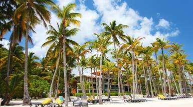Bavaro