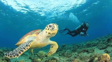 Marsa Alam