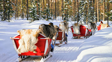 Rovaniemi