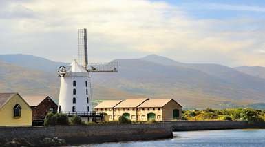 Limerick