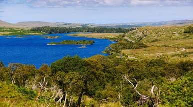 Donegal