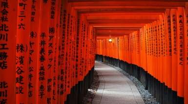 Japón Esencial: Entre Tradición y Futuro