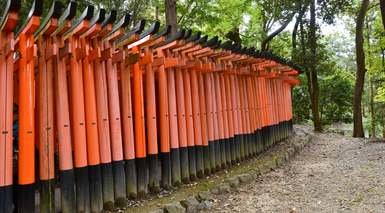 Kioto