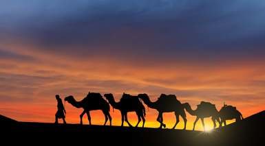 Oferta Viaje a Jordania con Noche en el Desierto