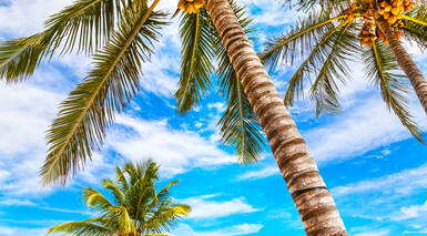 Estancias en Costa Mujeres / Playa Mujeres