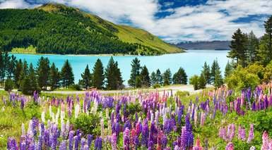 Queenstown