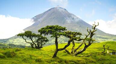 Pico Island