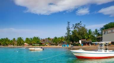 سالي بورتودال