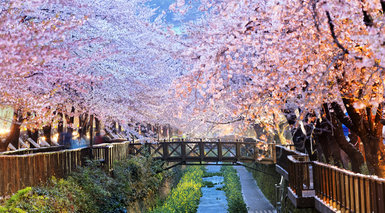 釜山広域市