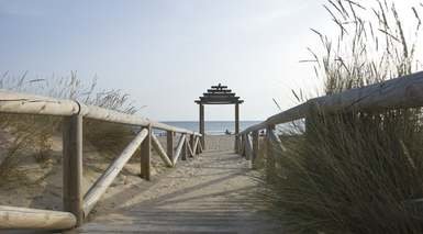 ثارا دي لوس أتونيس