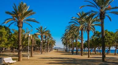 Mataro