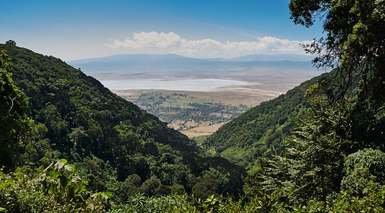 Arusha