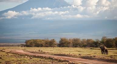 Kilimanjaro