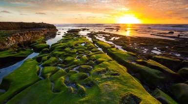 San Diego