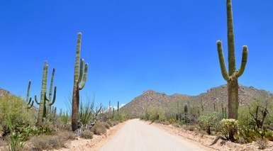 Tucson