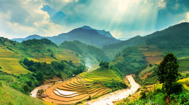 Sapa