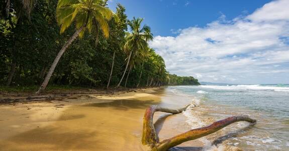 Costa Rica Esencial con Puerto Viejo y playas de Guanacaste