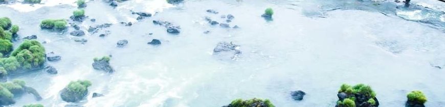 Patagonia Argentina y Chilena + Iguazú