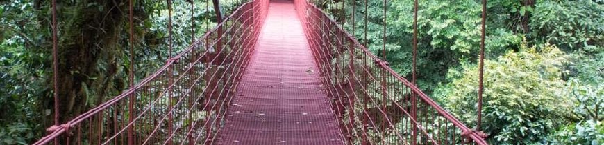 Costa Rica Básica en 4x4