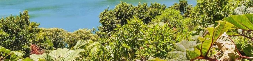 Costa Rica Básica, Tortuguero y Playas Caribe y del Pacífico en 4x4