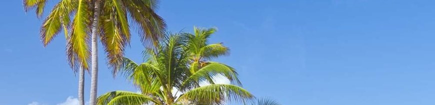 Punta Cana e Tudo Incluido de Lisboa 