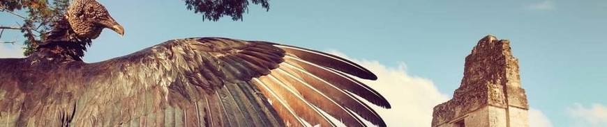 Guatemala y Cayo San Pedro