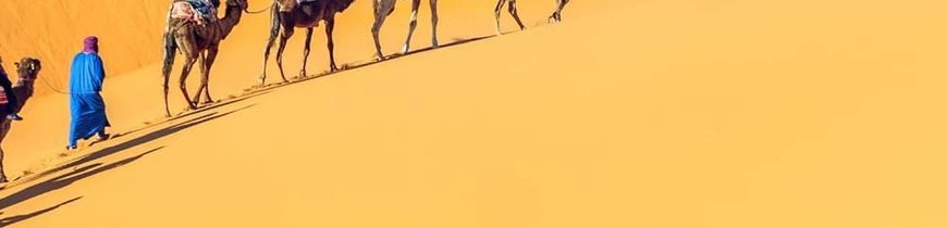 Marruecos: Mil kasbahs + Sur + Desierto